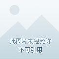 澄海之悠悠浮生